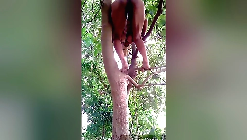 I Like To Pissing In The Tree And Bengali Dirty Audio