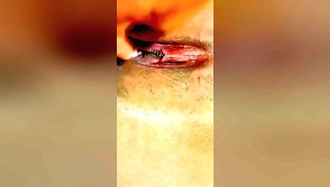 Indian solo female making the most out of every opportunity