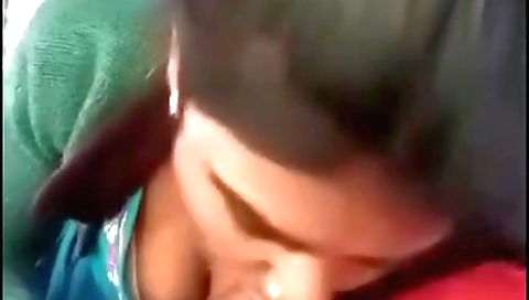 Indian truck driver deepthroat with a big booty video
